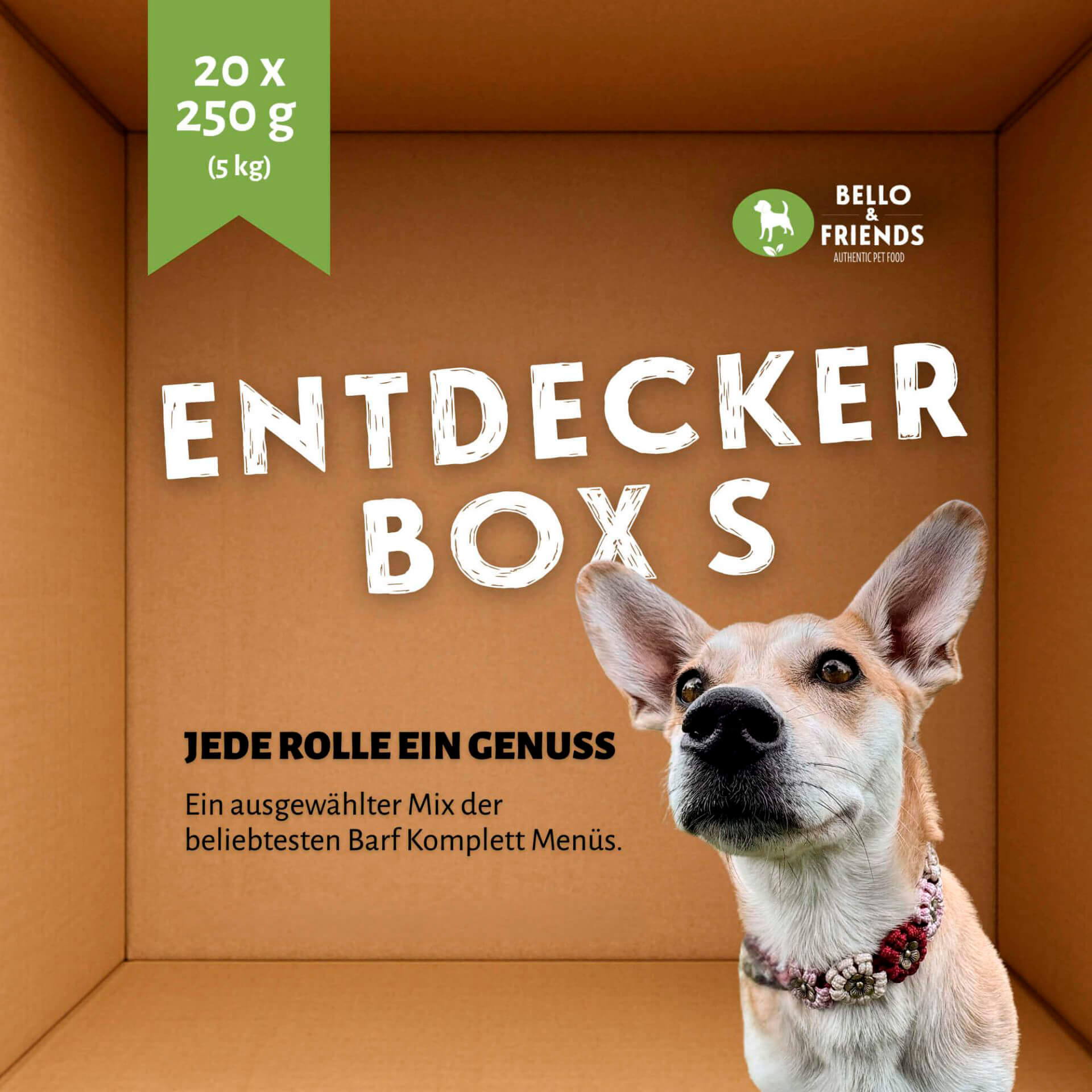 Entdeckerbox | Komplett Menü